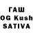 Галлюциногенные грибы Cubensis Kheda Gutchigova