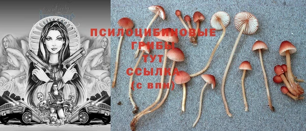 твердый Алзамай