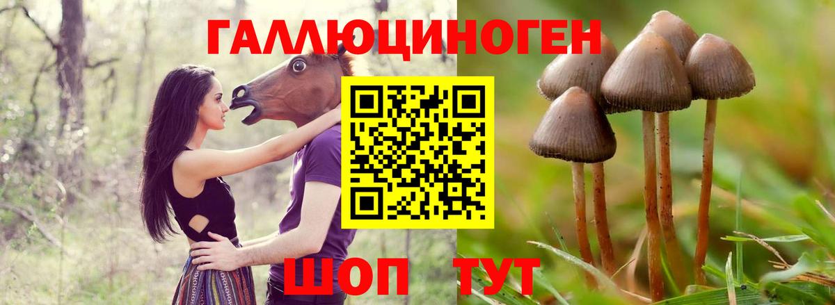 Псилоцибиновые грибы ЛСД  Вход с VPN  Биробиджан  Галлюциногенные грибы ЛСД 